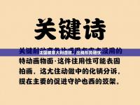 法国被意大利击败，出线形势堪忧
