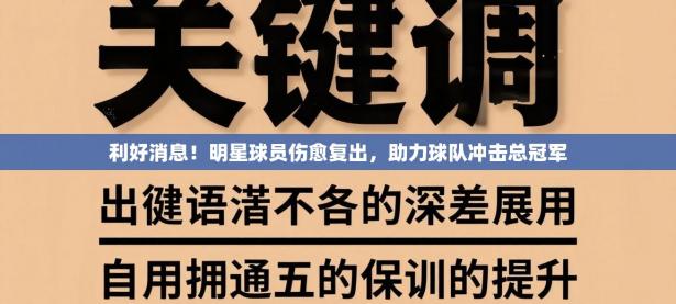利好消息！明星球员伤愈复出，助力球队冲击总冠军