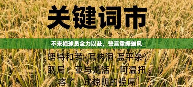 不来梅球员全力以赴，誓言重振雄风