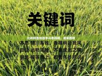 比利时击剑选手斗志昂扬，迎来胜利