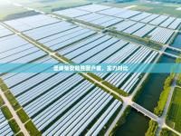 圣埃蒂安险胜图卢兹，实力对比