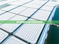 欧洲国家队在比赛中展现出色表现