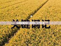 江西联盛取得一次胜利，士气大涨