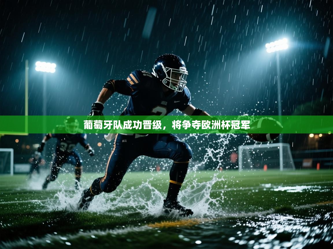 葡萄牙队成功晋级，将争夺欧洲杯冠军  第2张