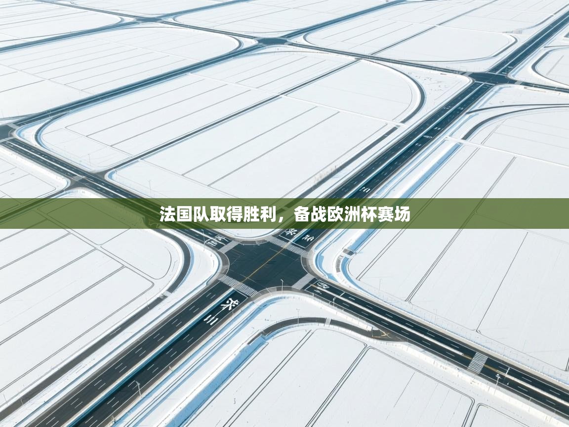 法国队取得胜利，备战欧洲杯赛场  第1张