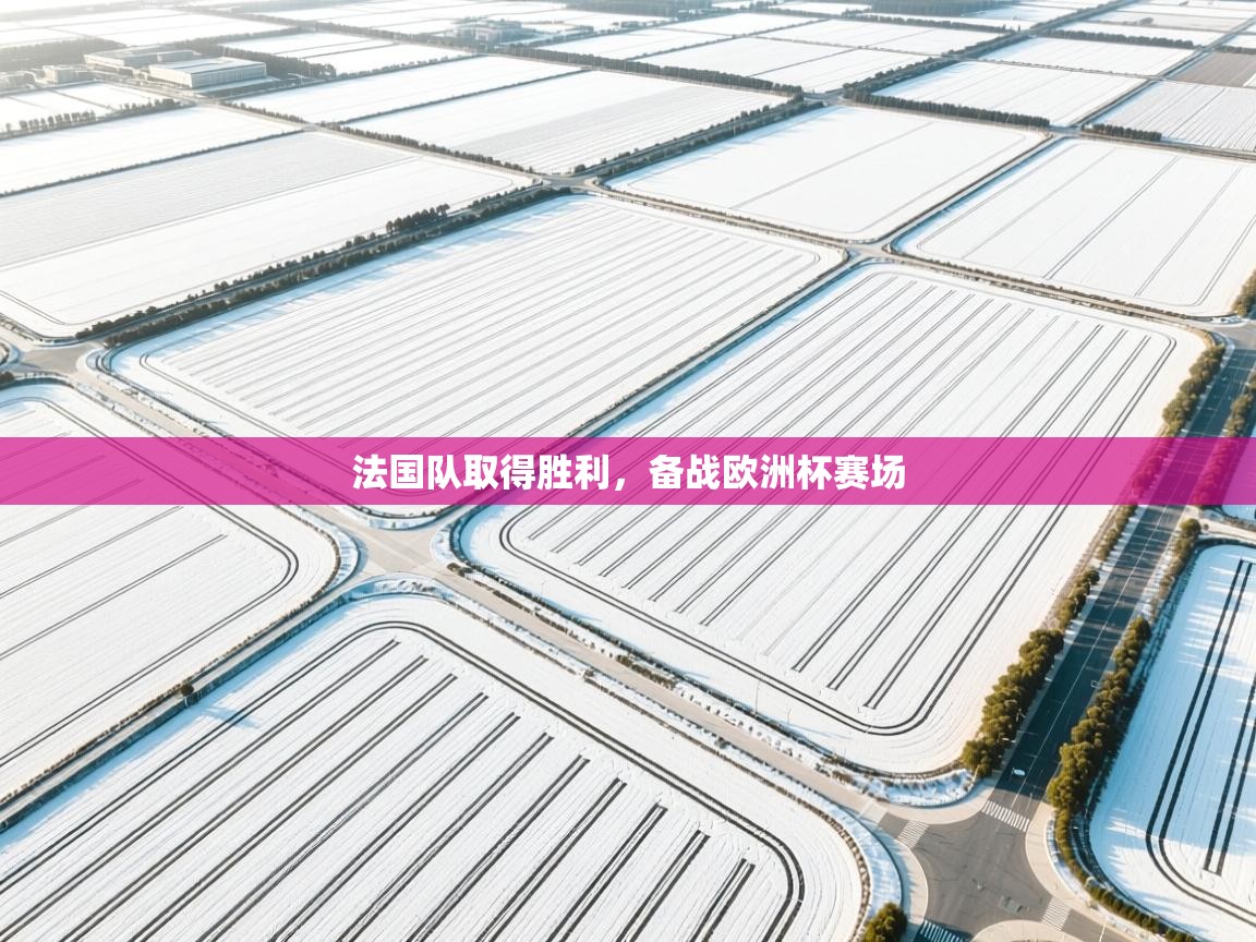 法国队取得胜利，备战欧洲杯赛场  第2张