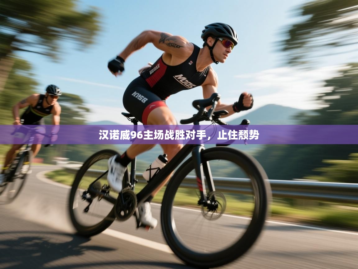 汉诺威96主场战胜对手，止住颓势  第2张