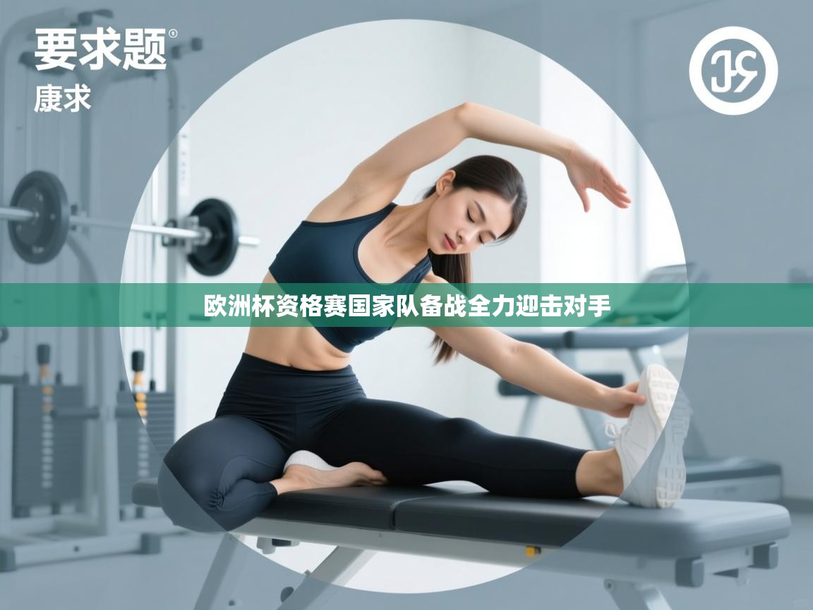 欧洲杯资格赛国家队备战全力迎击对手  第1张