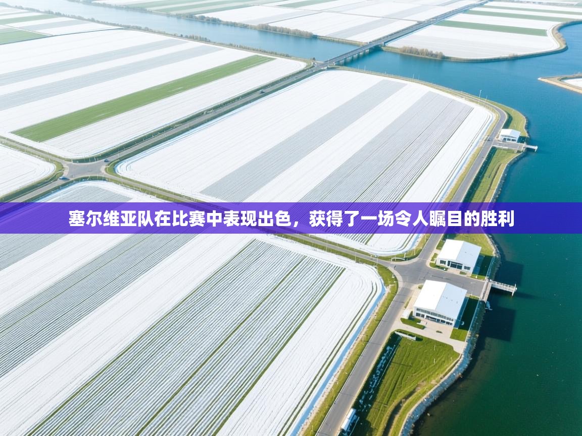 塞尔维亚队在比赛中表现出色，获得了一场令人瞩目的胜利  第2张