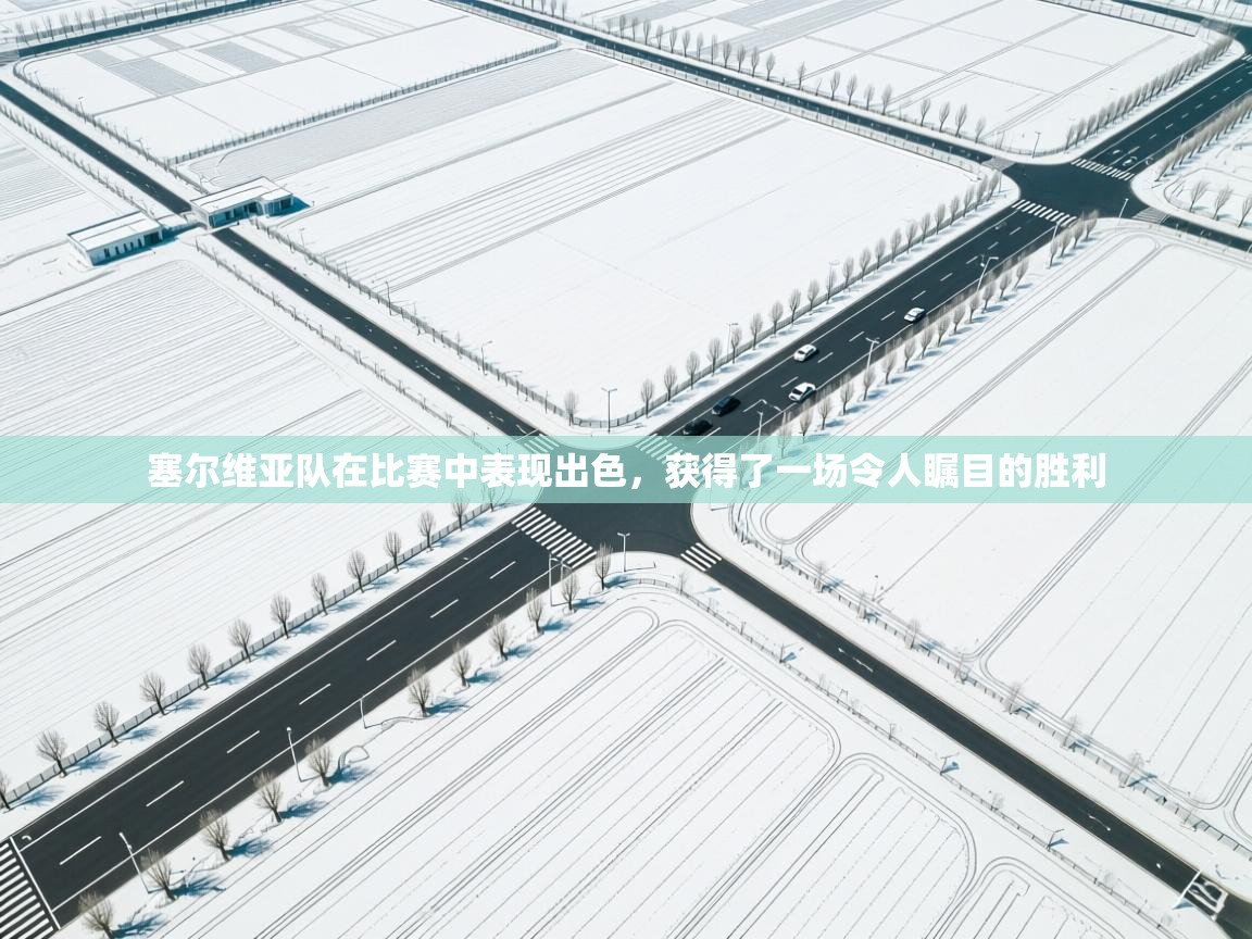 塞尔维亚队在比赛中表现出色，获得了一场令人瞩目的胜利  第1张