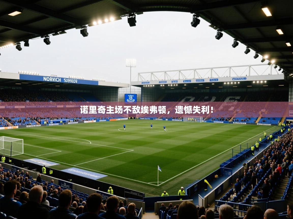 诺里奇主场不敌埃弗顿，遗憾失利！  第1张