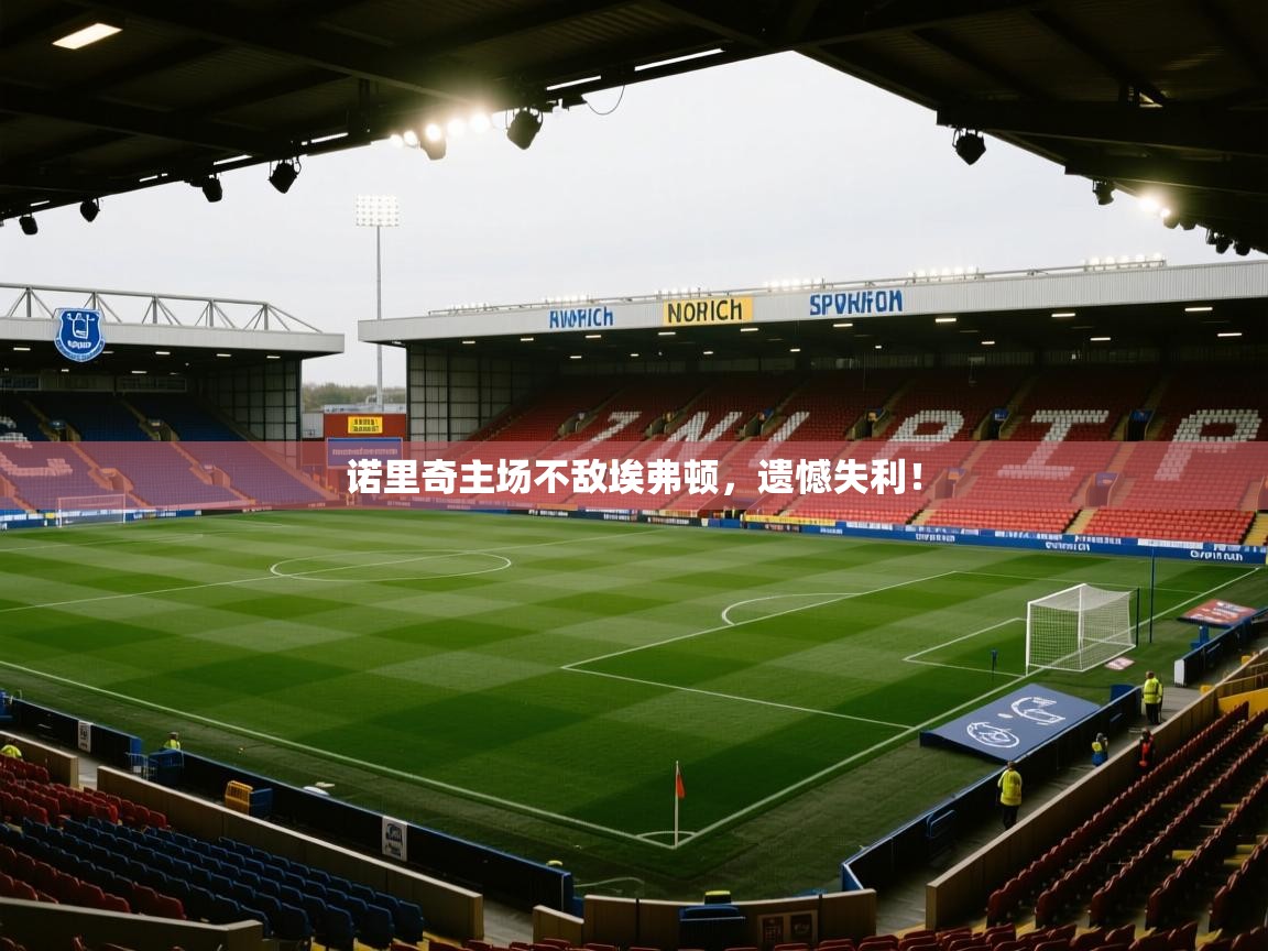 诺里奇主场不敌埃弗顿，遗憾失利！  第2张