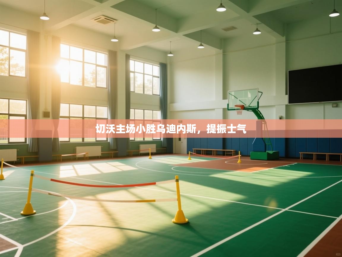 切沃主场小胜乌迪内斯，提振士气  第2张