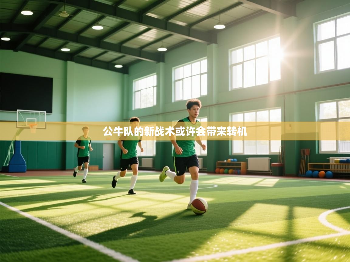 公牛队的新战术或许会带来转机  第2张