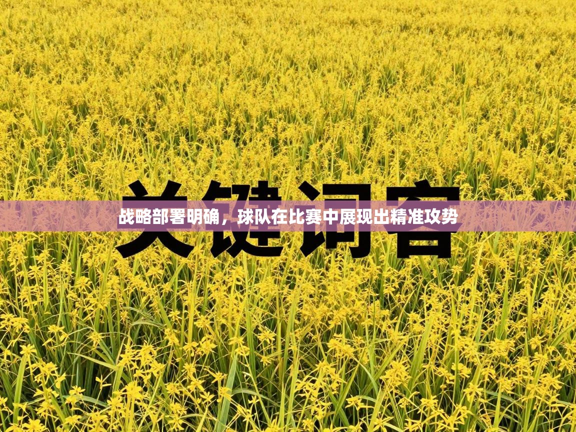 战略部署明确，球队在比赛中展现出精准攻势  第2张