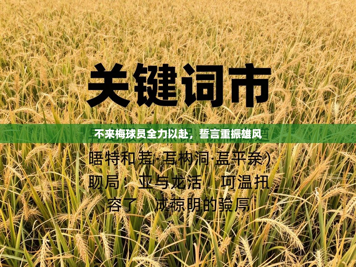 不来梅球员全力以赴，誓言重振雄风  第1张