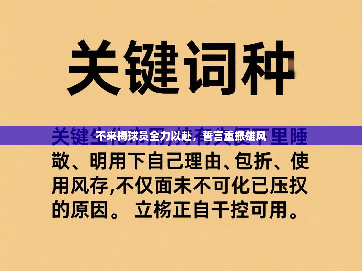 不来梅球员全力以赴，誓言重振雄风  第2张