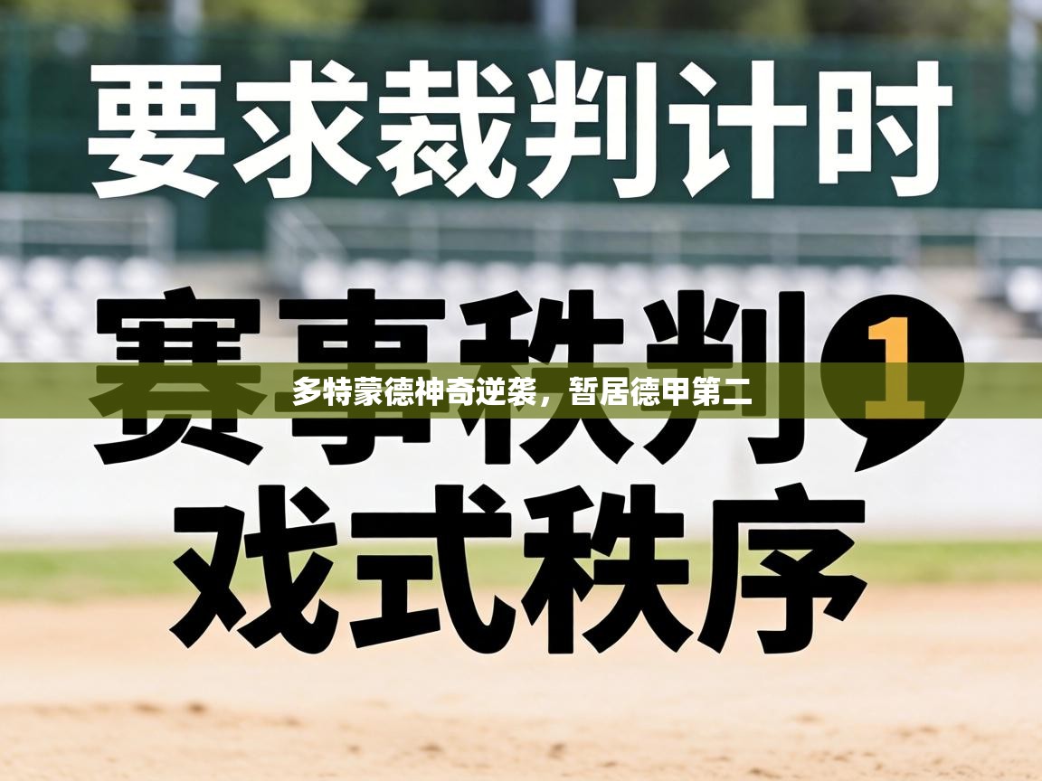 多特蒙德神奇逆袭，暂居德甲第二  第2张